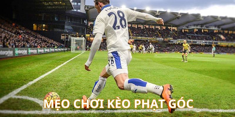 Kinh nghiệm cá cược kèo bóng phạt góc hiệu quả từ chuyên gia