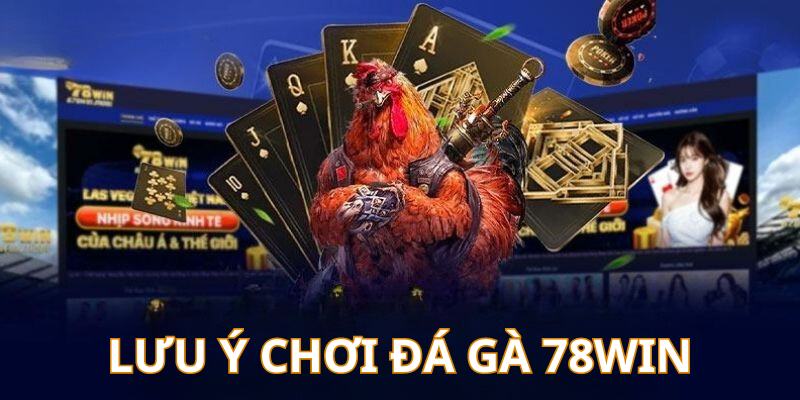 Khám phá kinh nghiệm chơi gà đá trực tuyến 78Win mới nhất